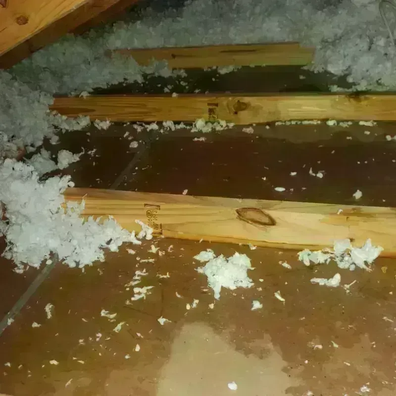 Attic Water Damage in Franklin, TN