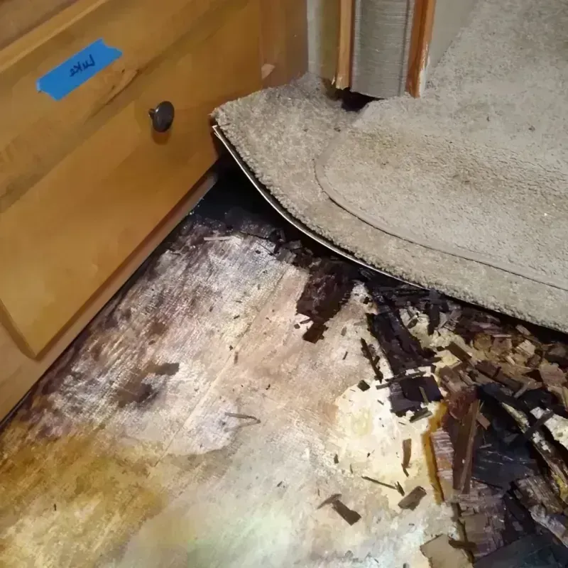 Wood Floor Water Damage in Franklin, TN